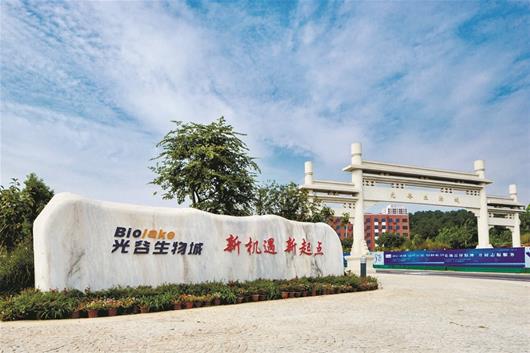 政协委员湖北武汉培训班七日方案