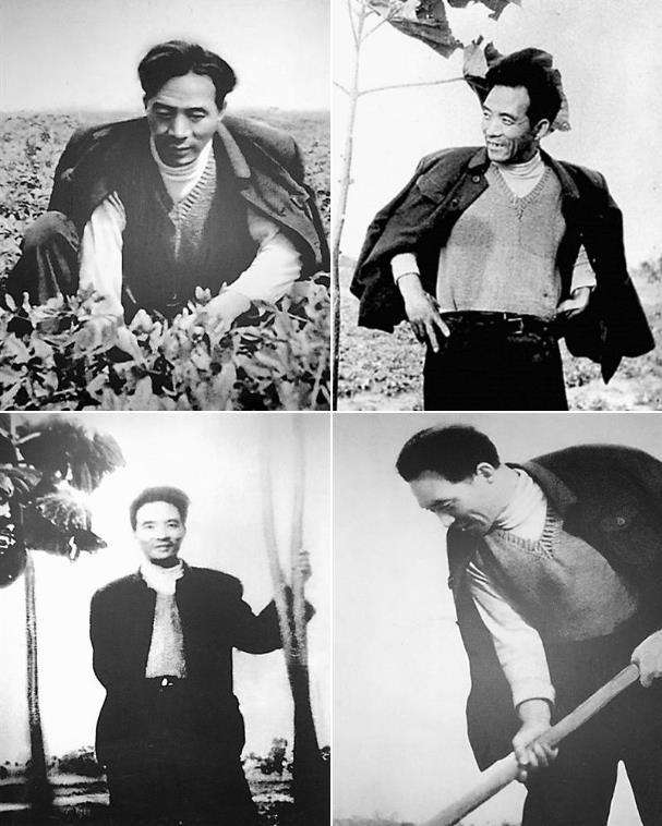 毛泽东的好学生-焦裕禄