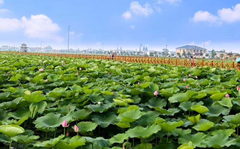 不忘初心 追思“一大”精神