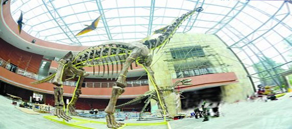 广东省内1天红色课程安排（党支部活动）河源