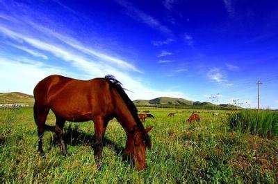 研习赛罕坝精神6天5晚培训方案