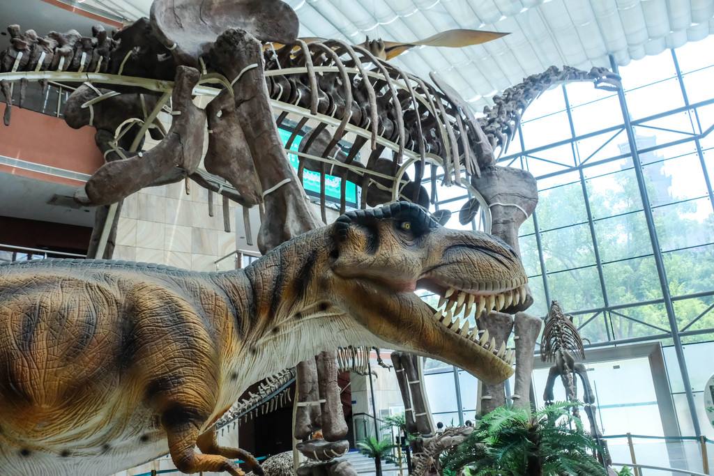 河源研学课程方案