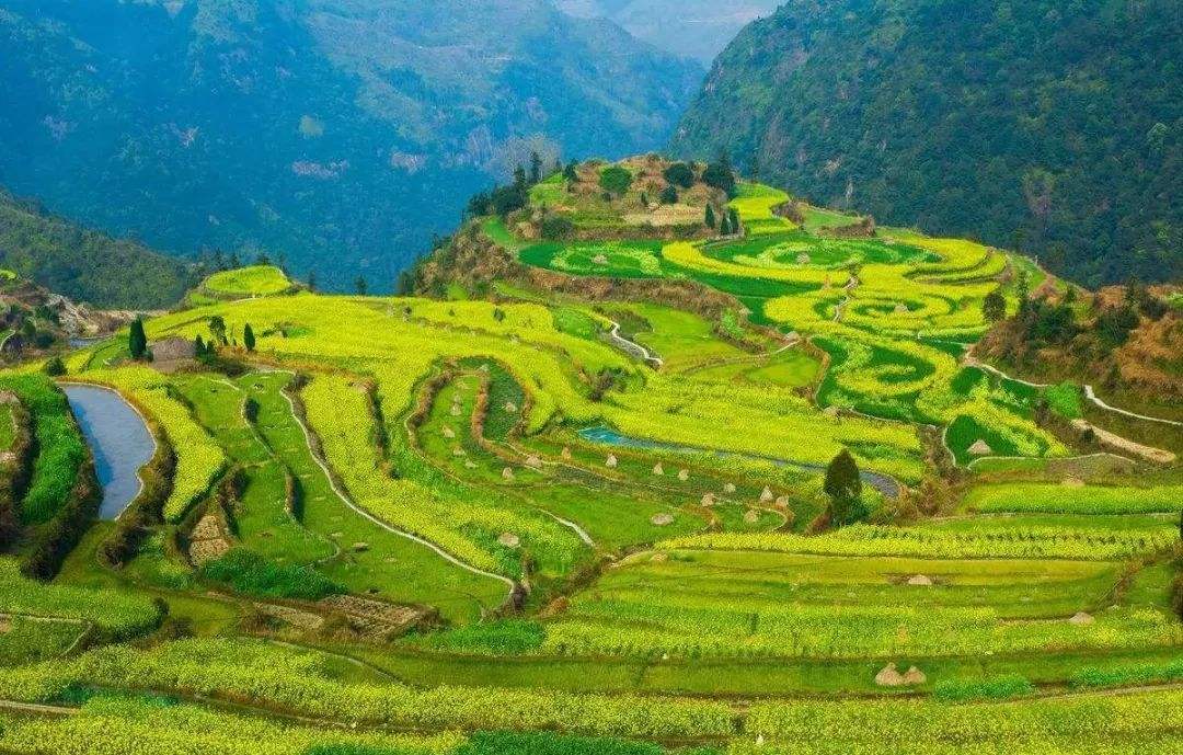 23.农业农村系统培训课程方案