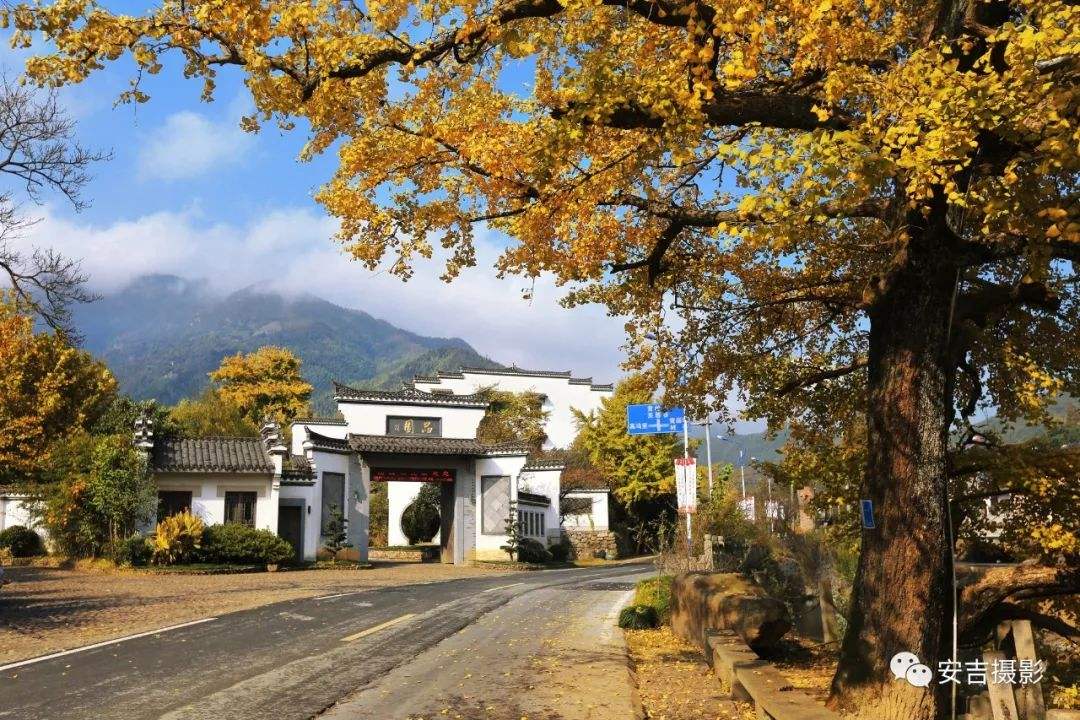 长三角地区“文明创建”实地5天考察