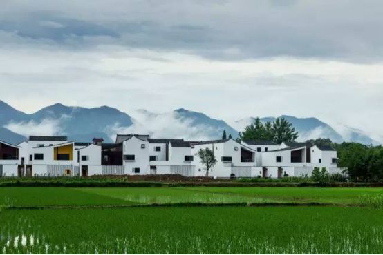 浙江乡村振兴专题培训班