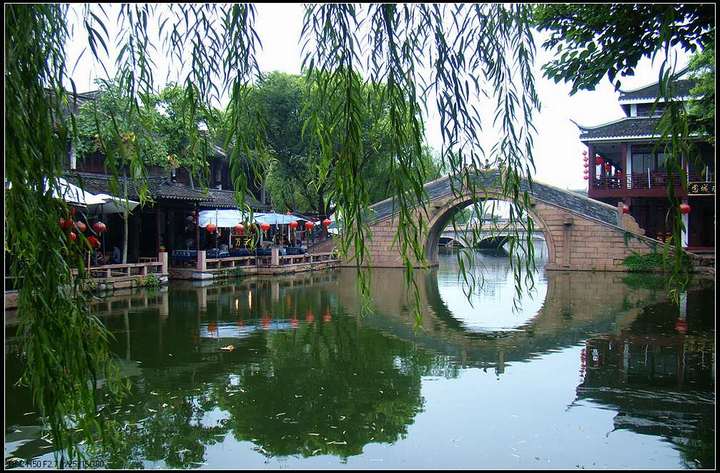 生态经济，乡村振兴-如皋市