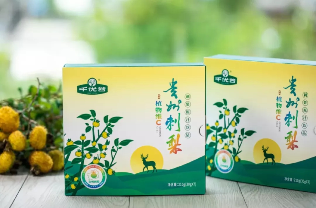 动静贵州：抗氧美颜好气色，贵州大山里的“金果果”究竟有何“魔力”？