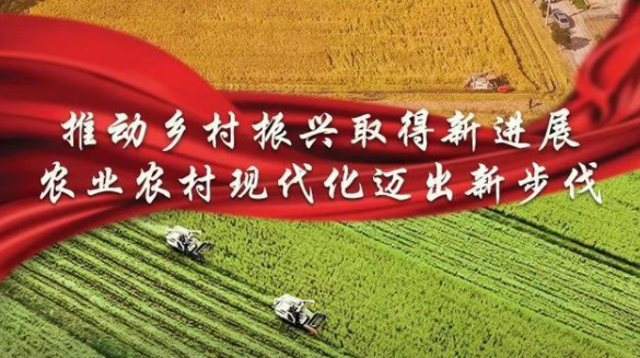 2022年中央一号文件正式发布！亮点速看