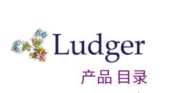 Ludger 产品列表