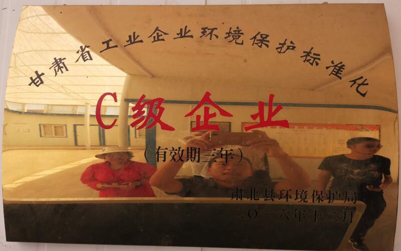 
	环境保护标准化企业 
