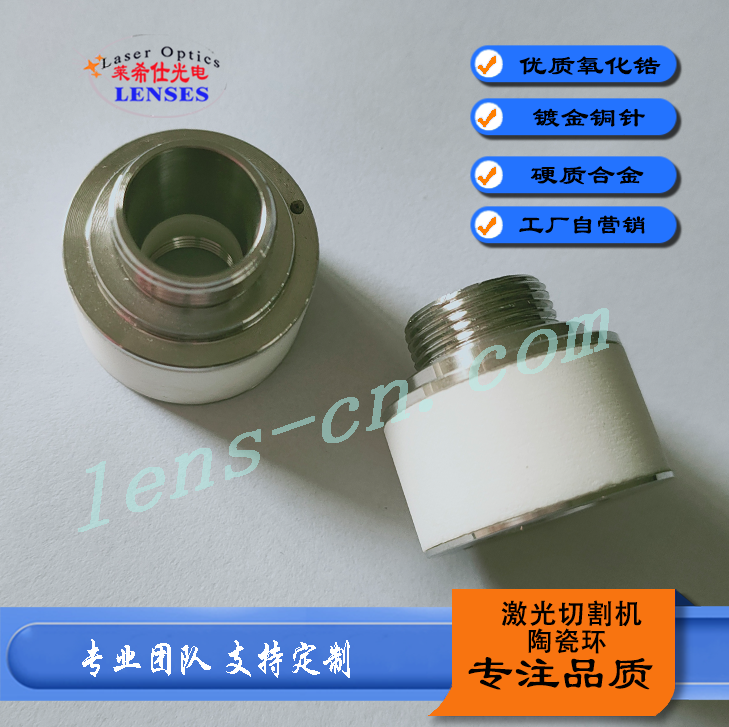 迪能款
