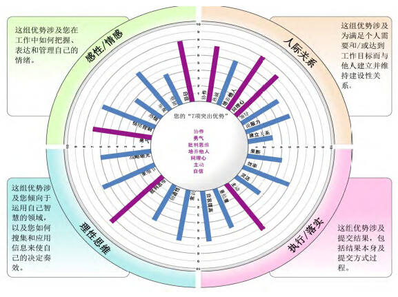 Strengthscope360个人版测试