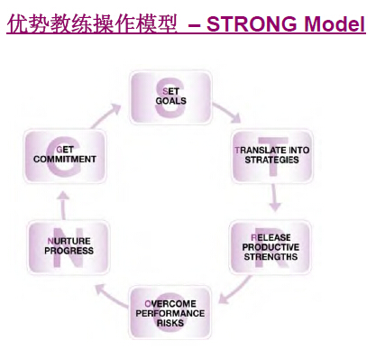 咨询项目设计及实施