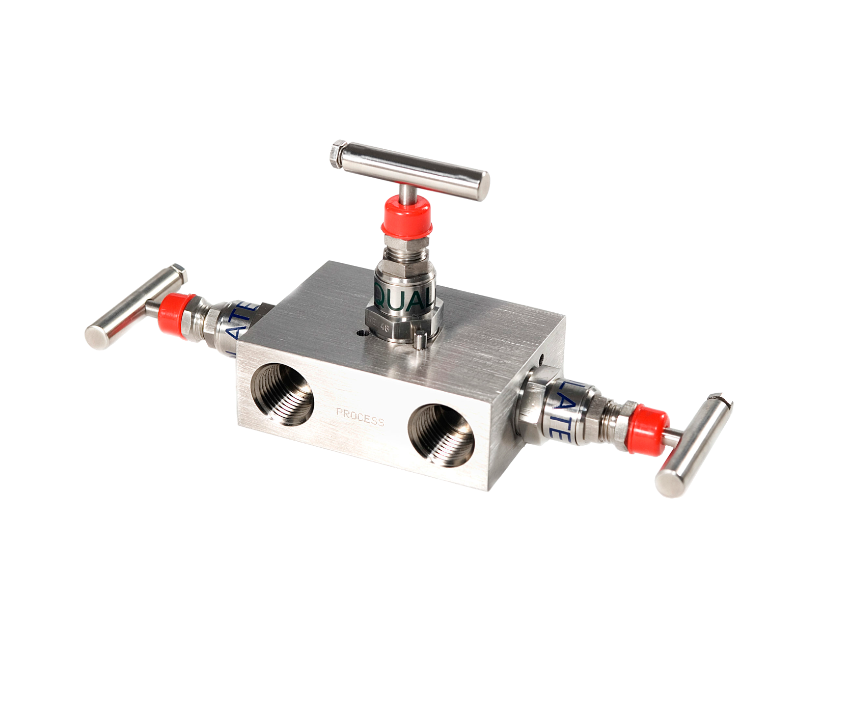 Y33 Needle Valve Manifold