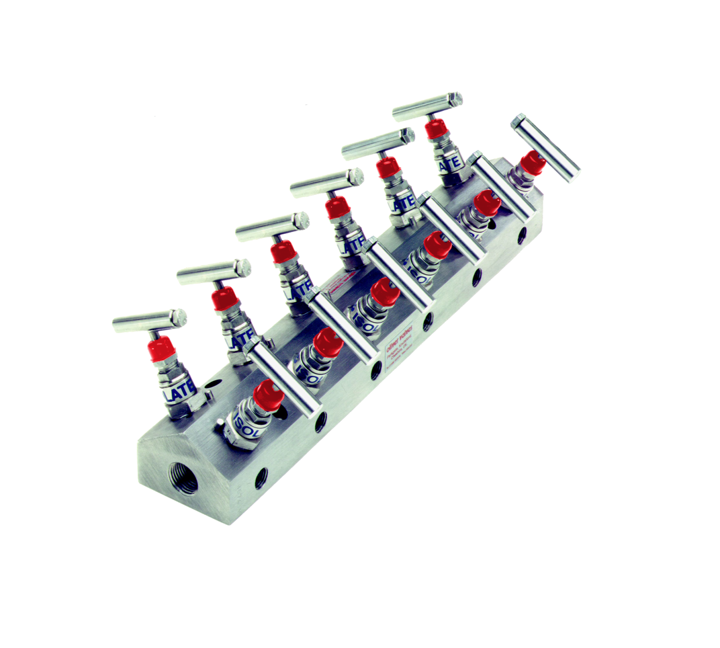 High Pressure Distribution Manifold (DM)