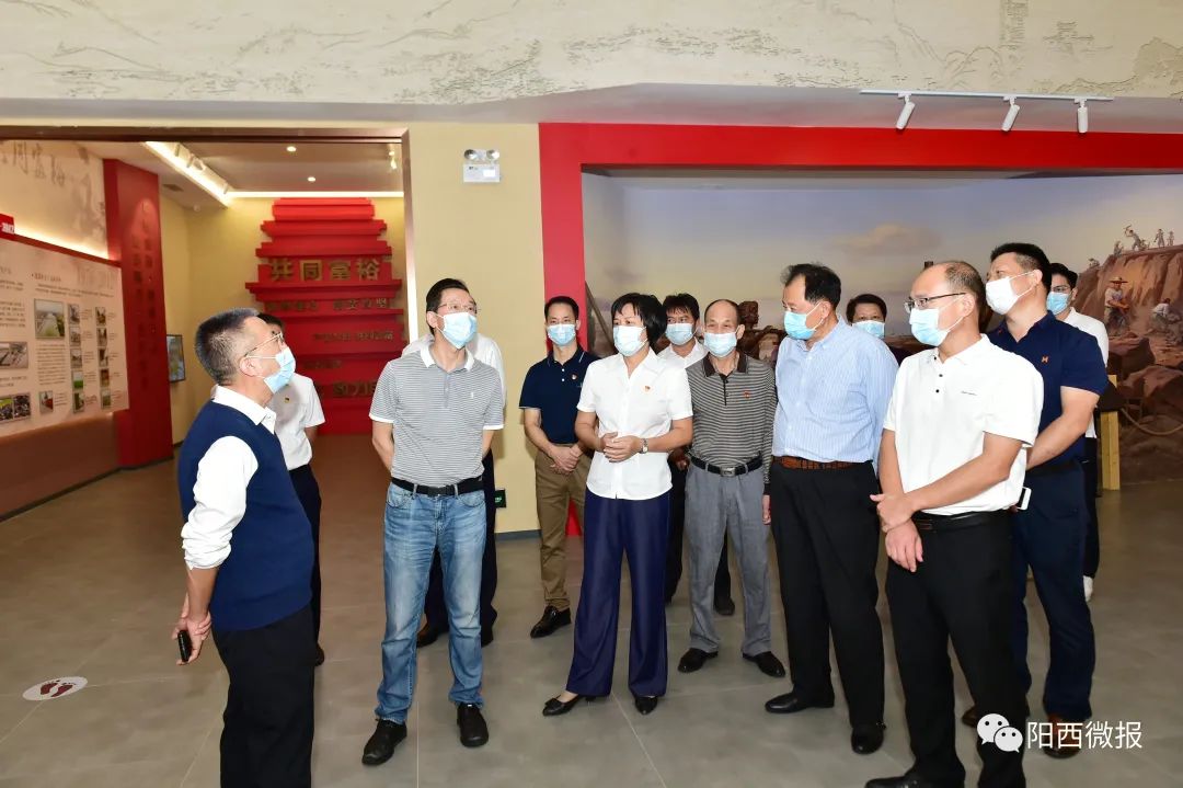 中央党建研究专家到阳西县调研“边海红旗”精神和基层党建工作