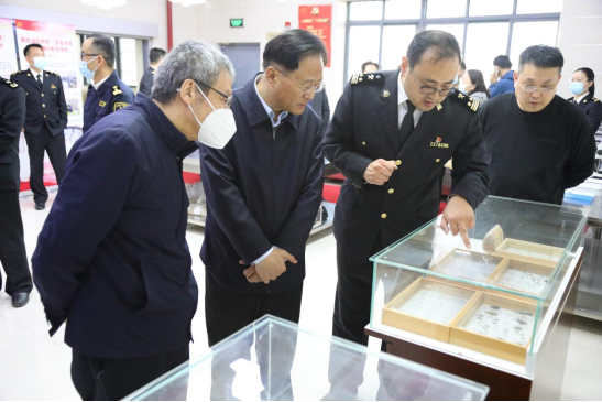 中央党校党建专家调研上海海关“三线五讲”党建业务融合模式