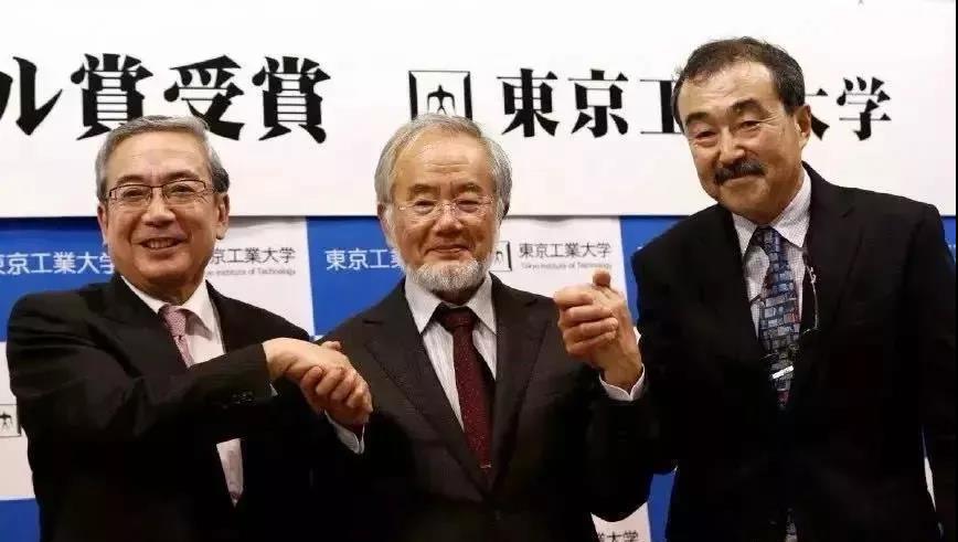 范冰冰事件刚结束，最严重的后果已经来了！