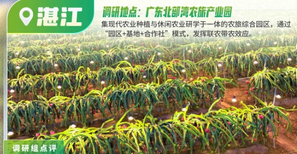 省领导带队、15个调研组奔赴多地，只为这一件事……
