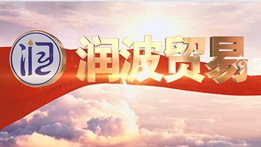 南昌润波贸易有限公司企业宣传片