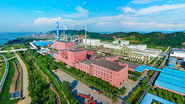 赛得利集团（九江）360°全景