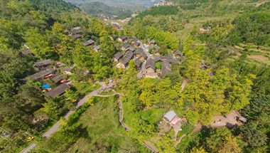 贵州省盘州刺梨项目360°全景