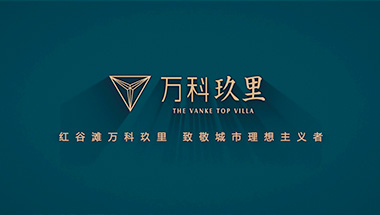 万科地产微电影《万科玖里》