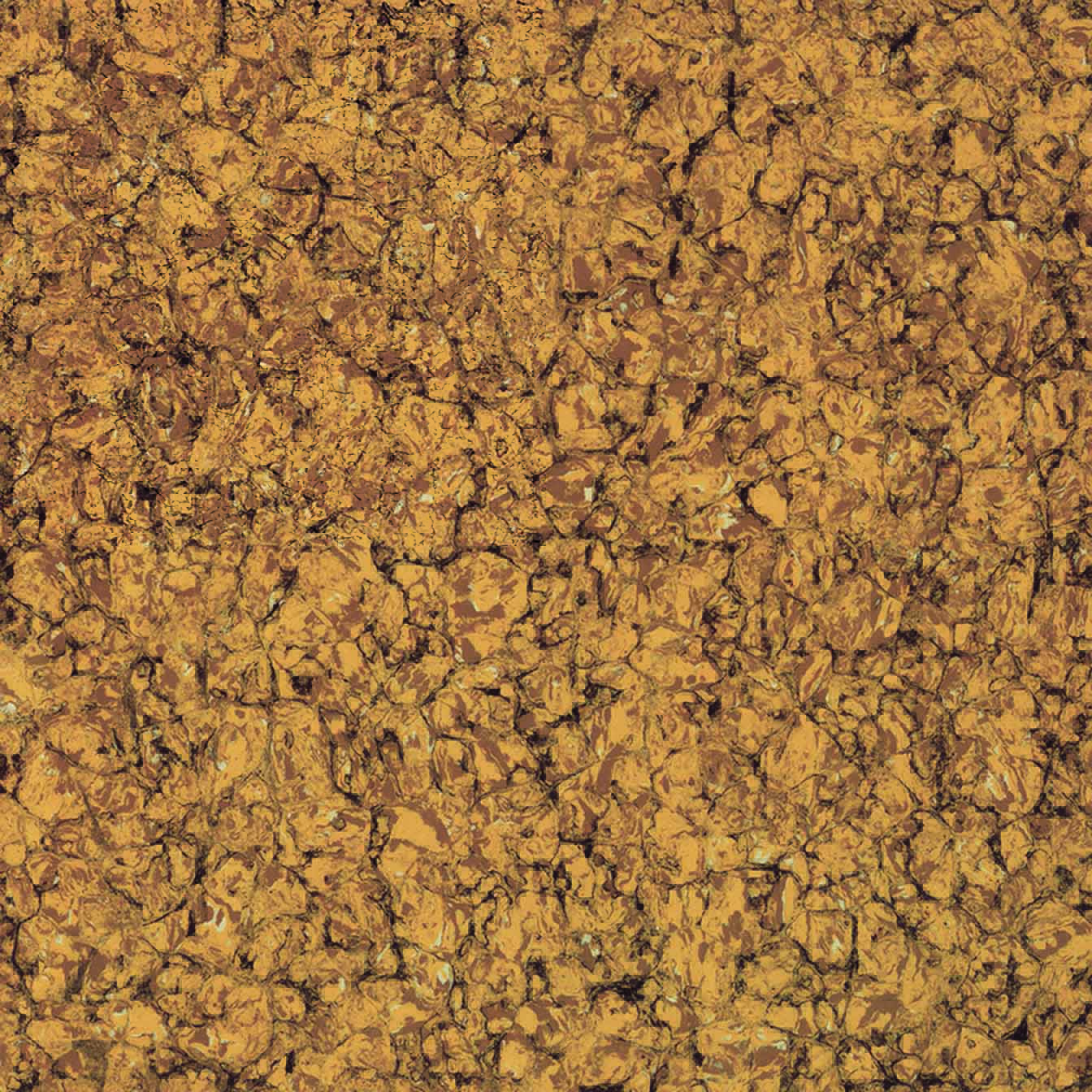 ZP6109