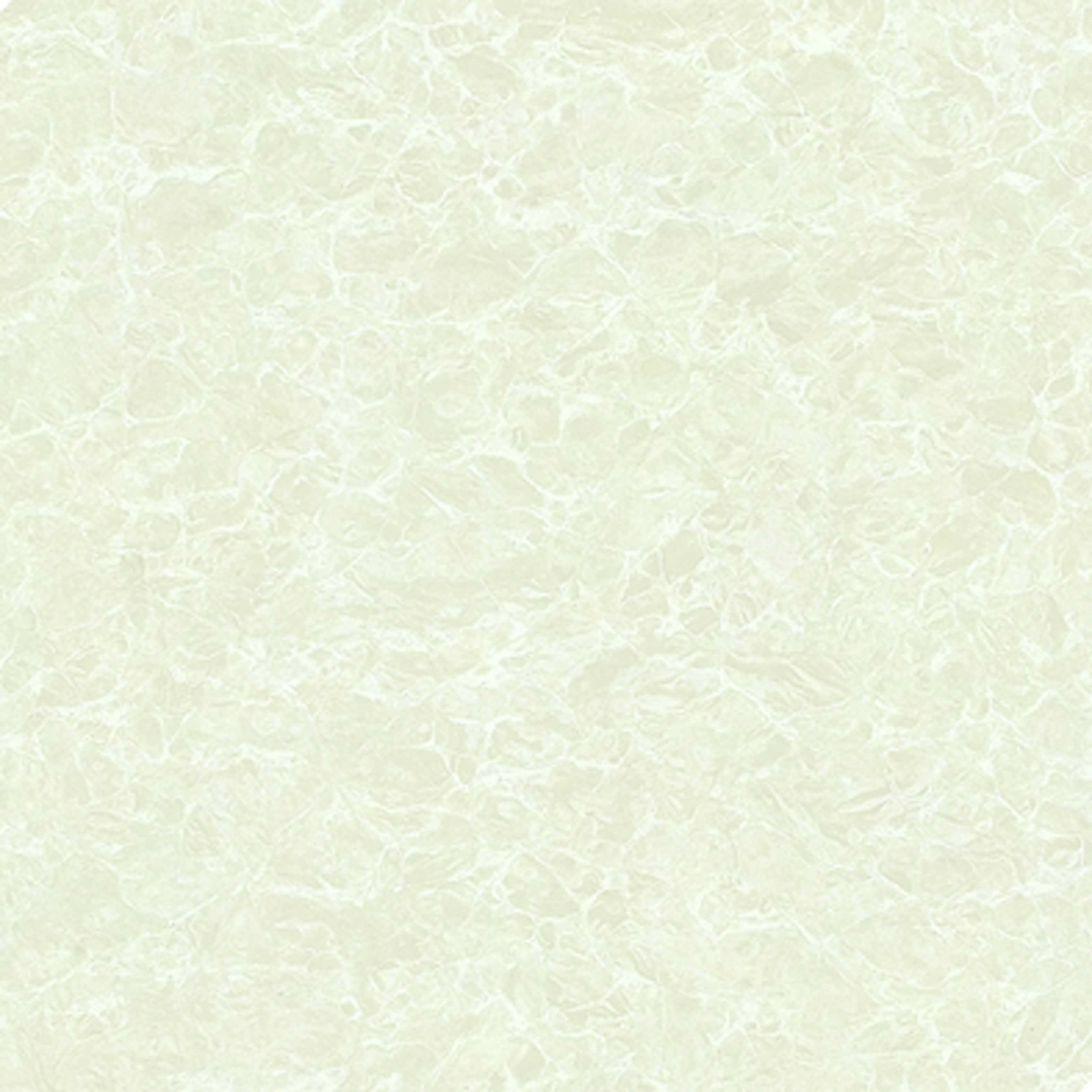 ZP6231
