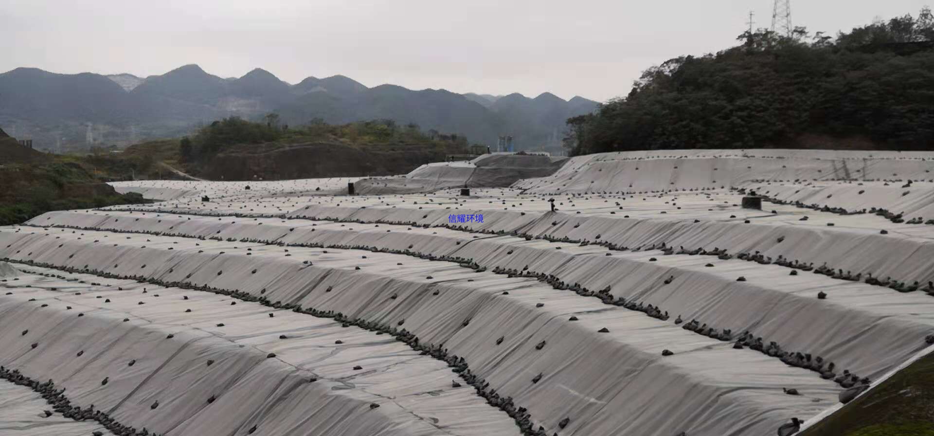 中石化川维项目