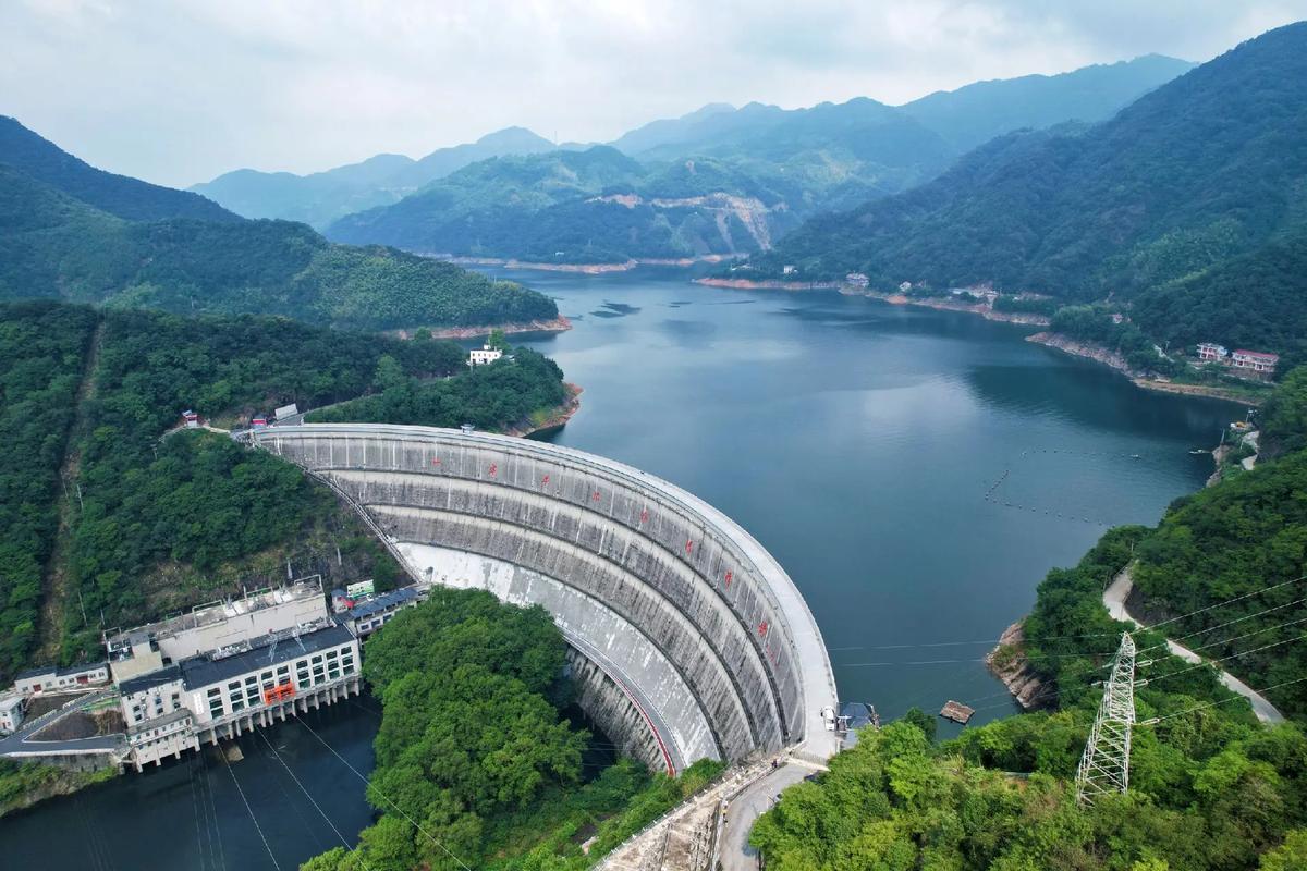 河湖生態(tài)系統(tǒng)的結(jié)構(gòu)與功能解析