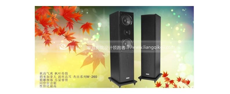 来自枫叶之国的音箱