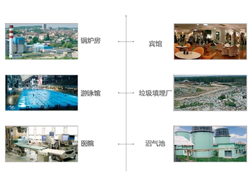 TEDOM公司垃圾填埋場沼氣工程