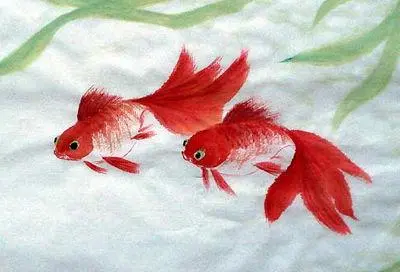 装修新居时 家里风水摆设有哪些讲究