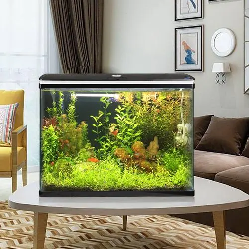 家居鱼缸风水大揭秘形状、位置、数目等讲究全解析