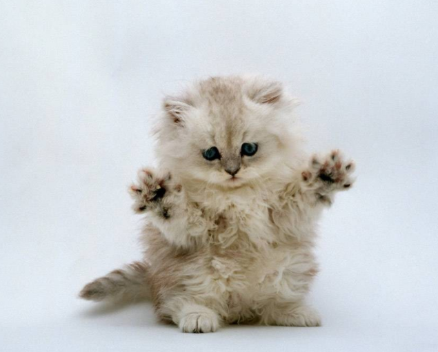 什么样的大门风水能招财 大门布局宜忌