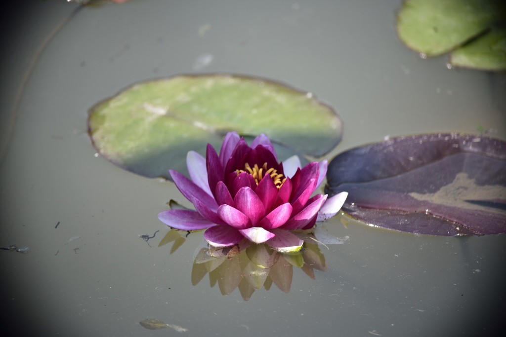 住宅风水的不良征兆如何去看-易德轩风水设计网