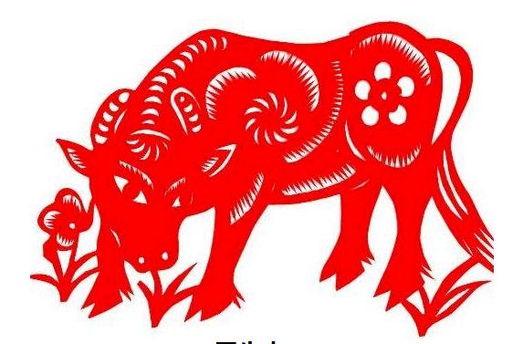 小家饰改善新居大风水-易德轩风水设计网