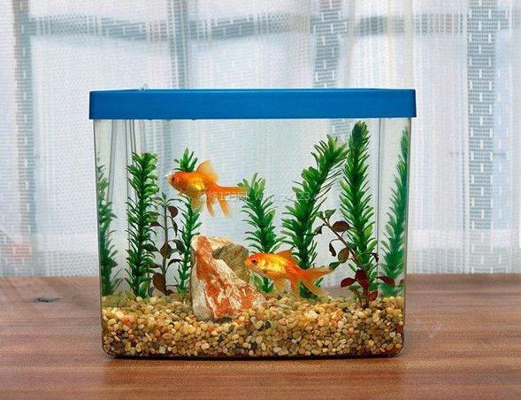 鱼缸的摆放风水 鱼缸摆放位置有哪些禁忌-易德轩风水装修设计网 鱼缸的摆放风水 鱼缸摆放位置有哪些禁忌-易德轩风水装修设计网