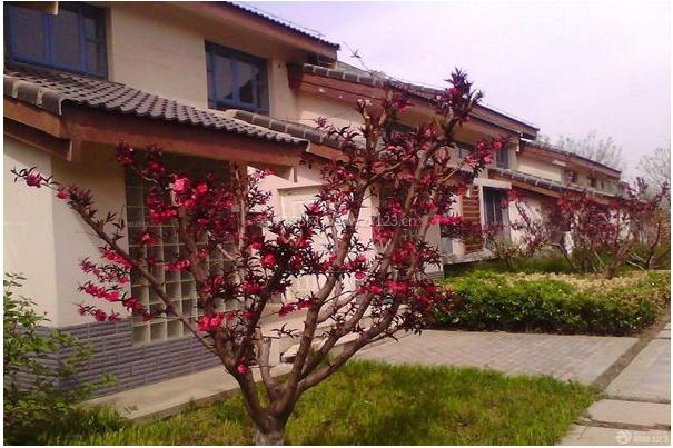 别墅大门风水设计 用风水兴盛家居-易德轩风水装修设计网