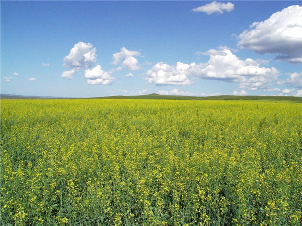 厨房在东北角破财百万的风水格局-易德轩风水设计网 厨房在东北角破财百万的风水格局-易德轩风水设计网