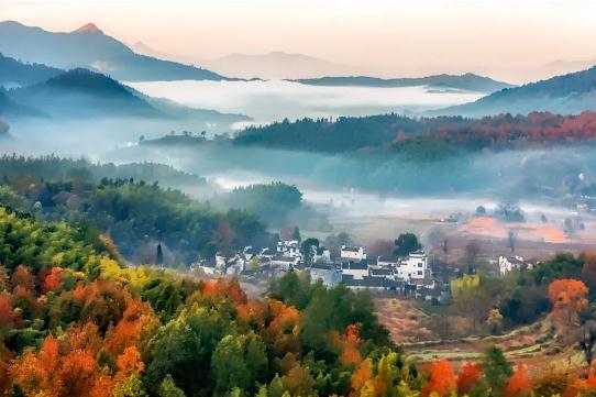 针对财运的厨房植物摆放风水-易德轩风水设计网 针对财运的厨房植物摆放风水-易德轩风水设计网