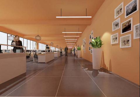 办公桌绿植风水有哪些需要注意 适合办公桌摆放的绿植有哪些-易德轩吉祥商城