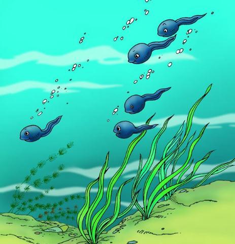 害你被炒鱿鱼的风水环境及化解方法-易德轩风水设计网 害你被炒鱿鱼的风水环境及化解方法-易德轩风水设计网