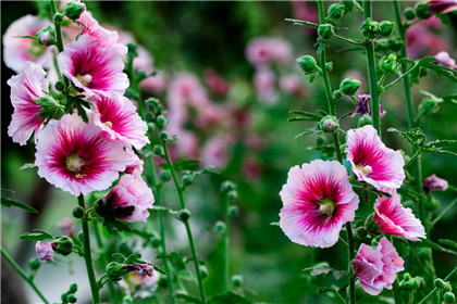 领导办公室风水布局分析-易德轩风水设计网 领导办公室风水布局分析-易德轩风水设计网