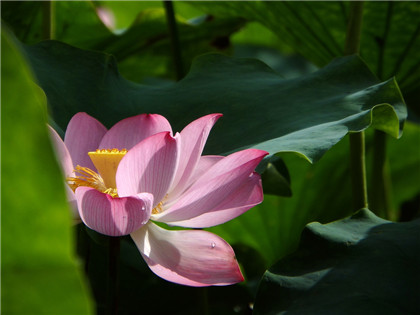 买房子风水注意事项-易德轩风水设计网