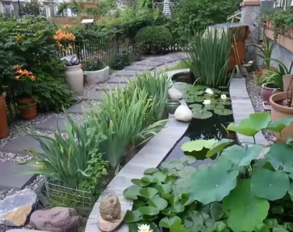 庭院设计有哪些风水讲究 庭院设计有哪些风水讲究