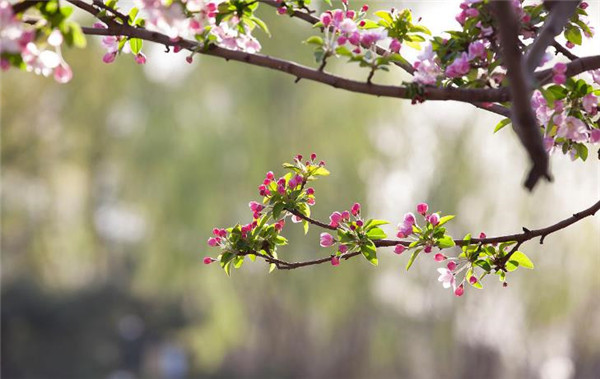 空调风水禁忌有哪些 空调对着门风水好不好？-易德轩风水设计网