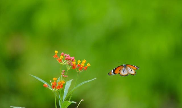 办公室镜子风水-易德轩风水设计网