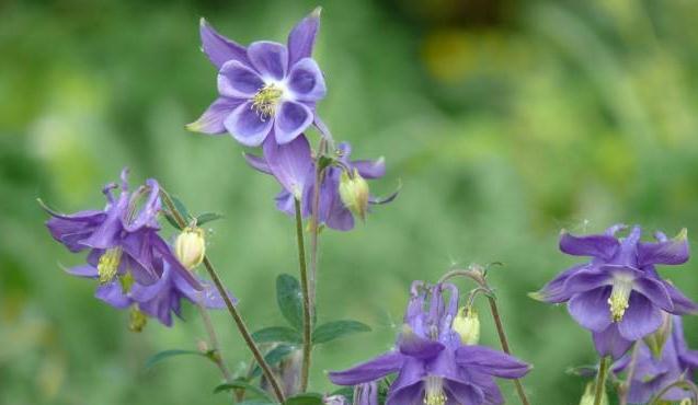 卫生间装修风水与禁忌 卫生间风水小常识早知道-易德轩风水设计网